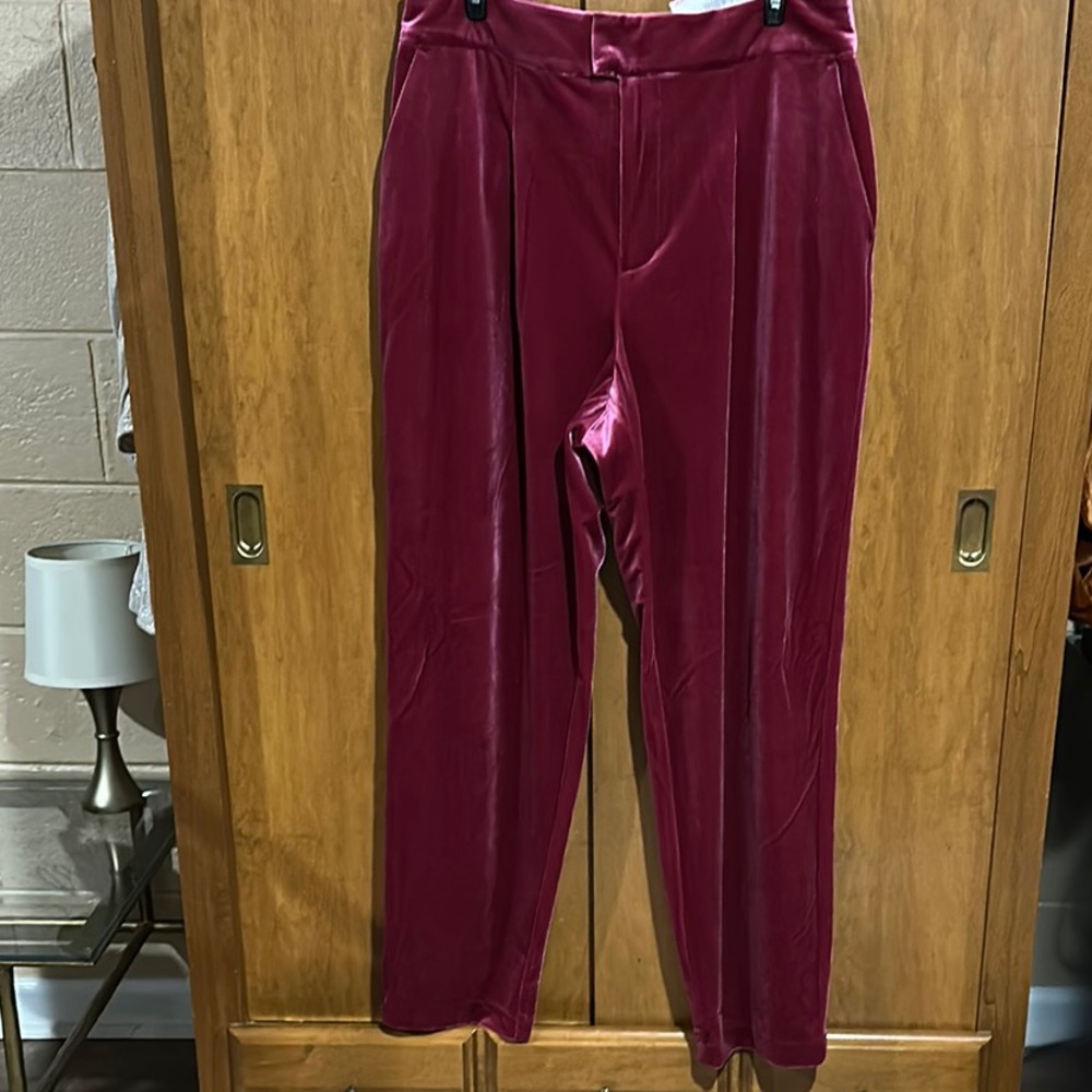 Elegant Red Velvet Pants. Brand I N C